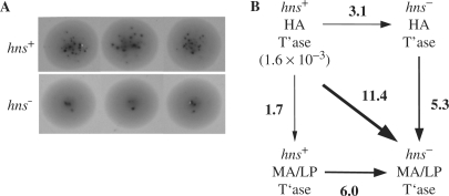 Figure 6.