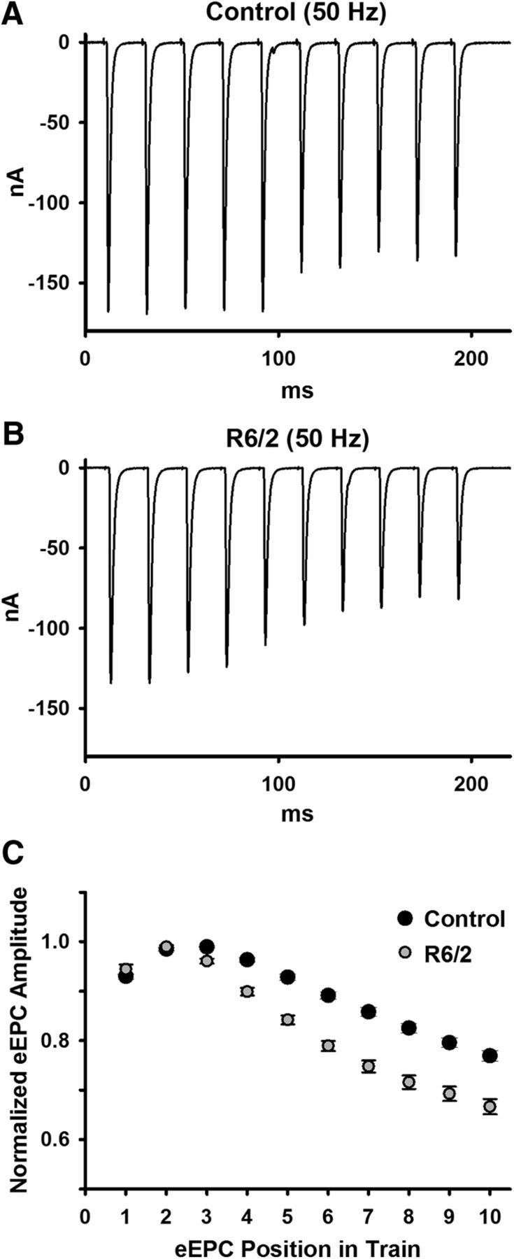 Figure 11.