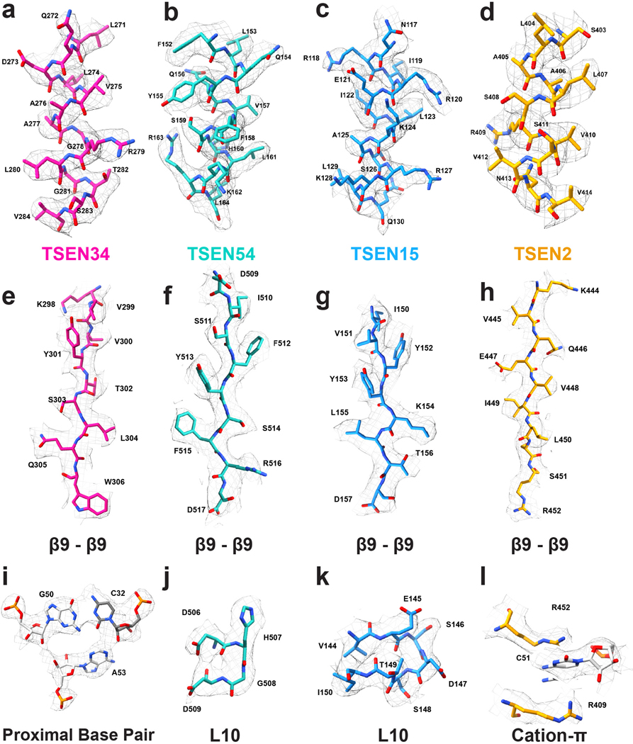 Extended Data Fig. 3