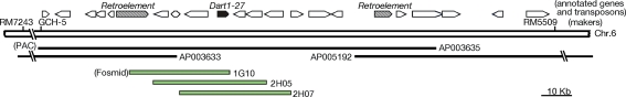 Fig. 1