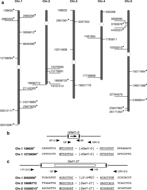 Fig. 6