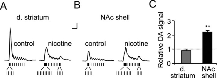 Figure 7.