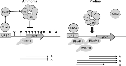 FIG. 7.