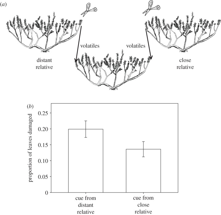 Figure 3.