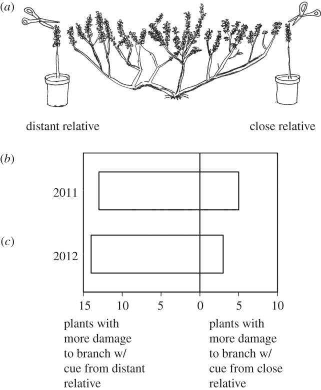 Figure 1.