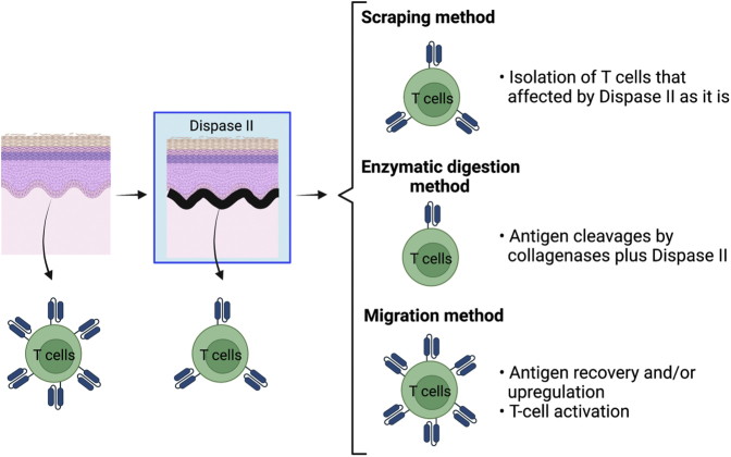 Figure 7