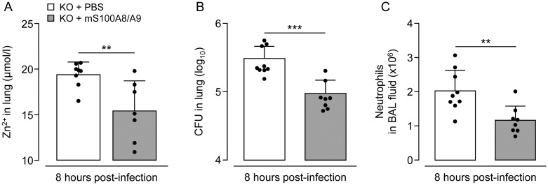 Fig 5