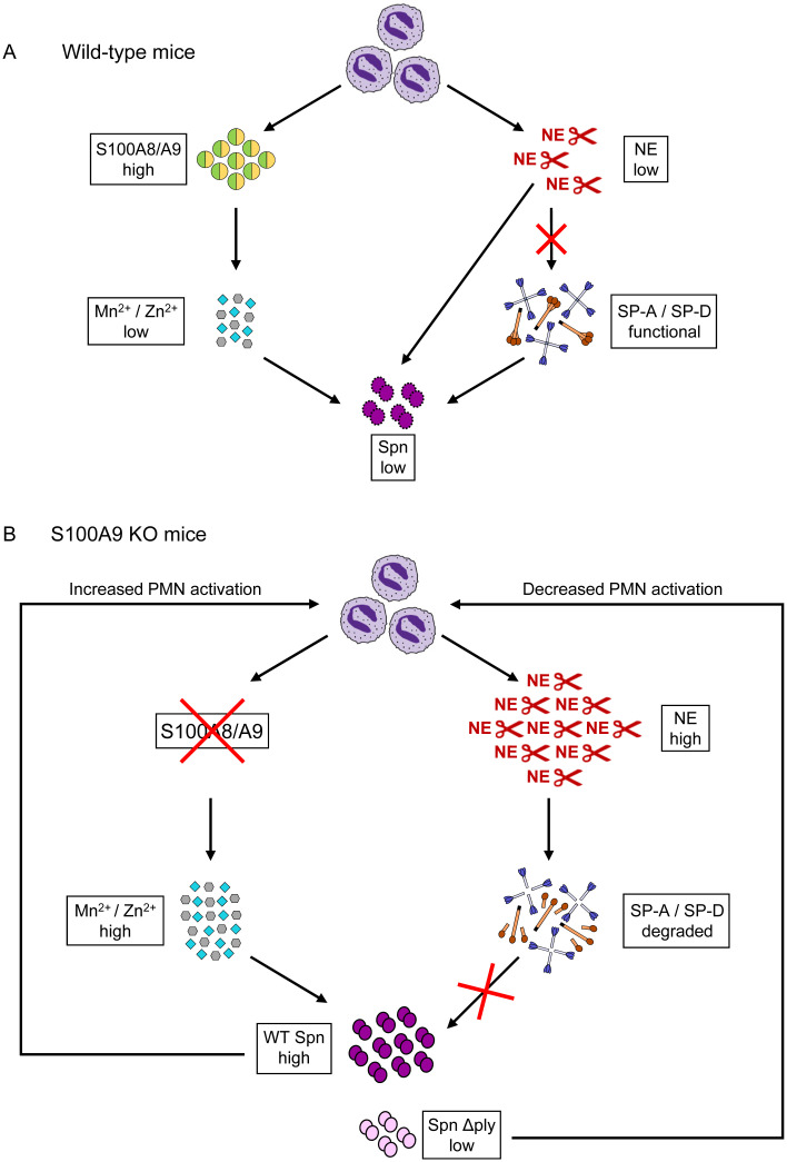 Fig 10