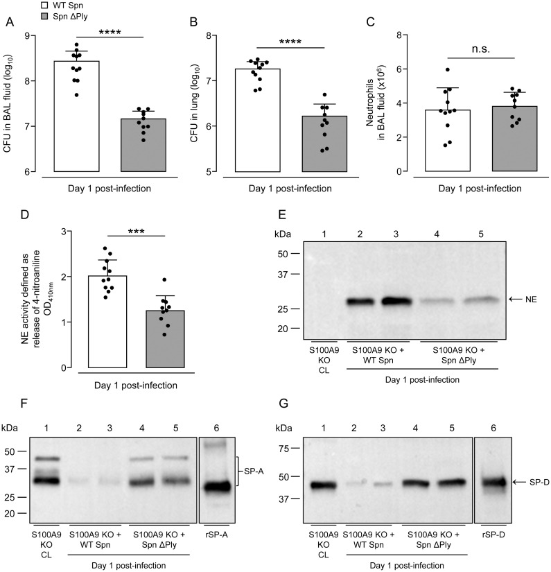 Fig 9