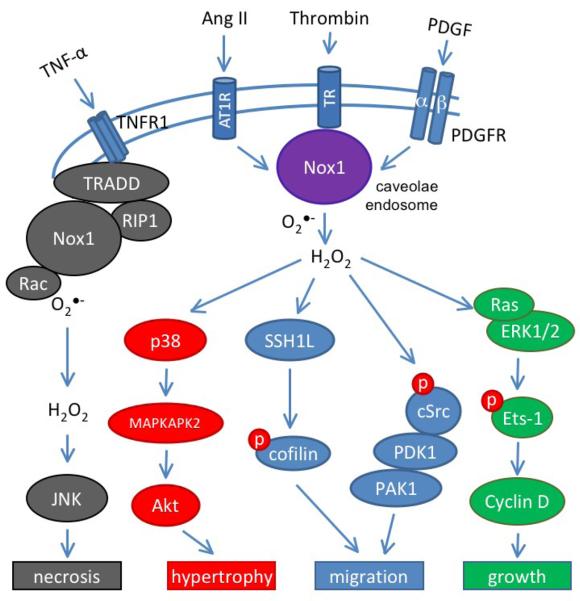 Fig 2