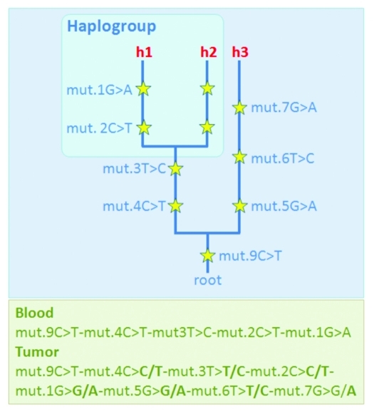 Figure 2.