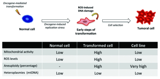 Figure 1.