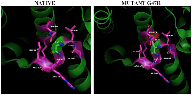 Figure 3.