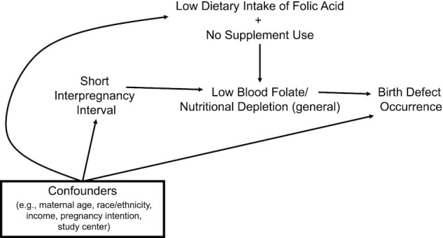 FIGURE 3