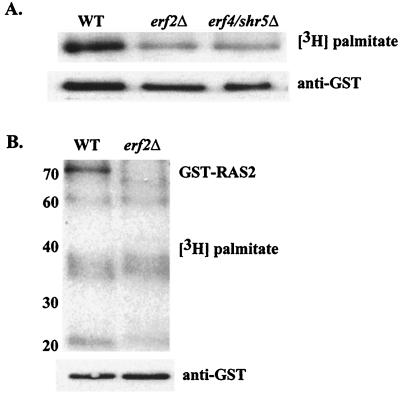 FIG. 6