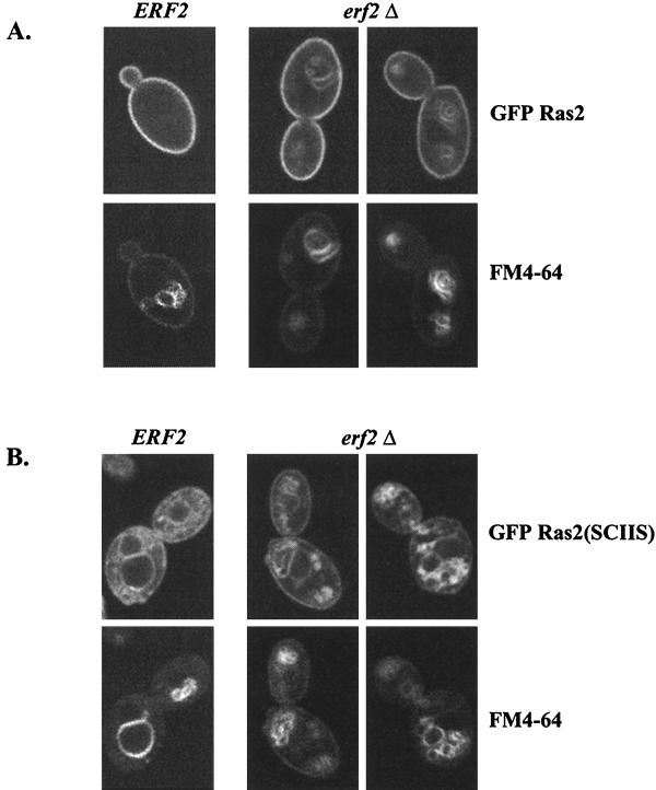 FIG. 8