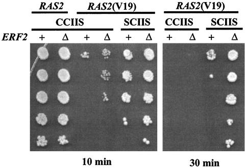 FIG. 9