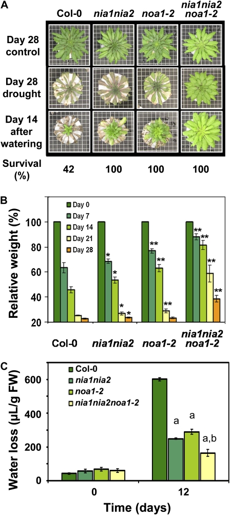 Figure 5.