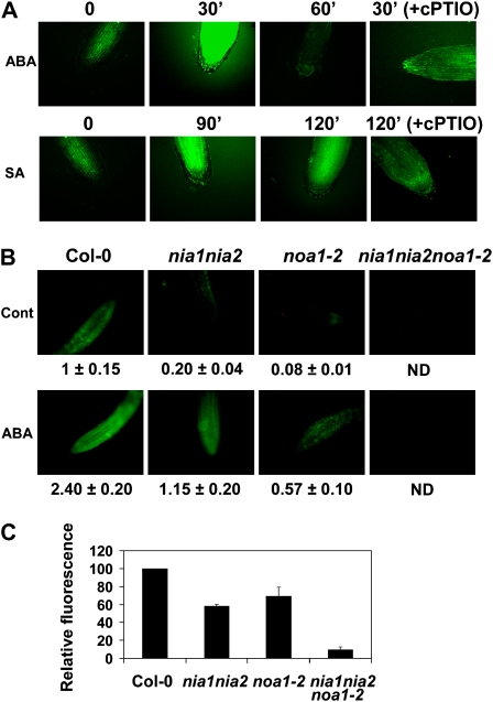 Figure 2.