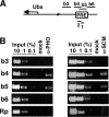 FIG. 2.