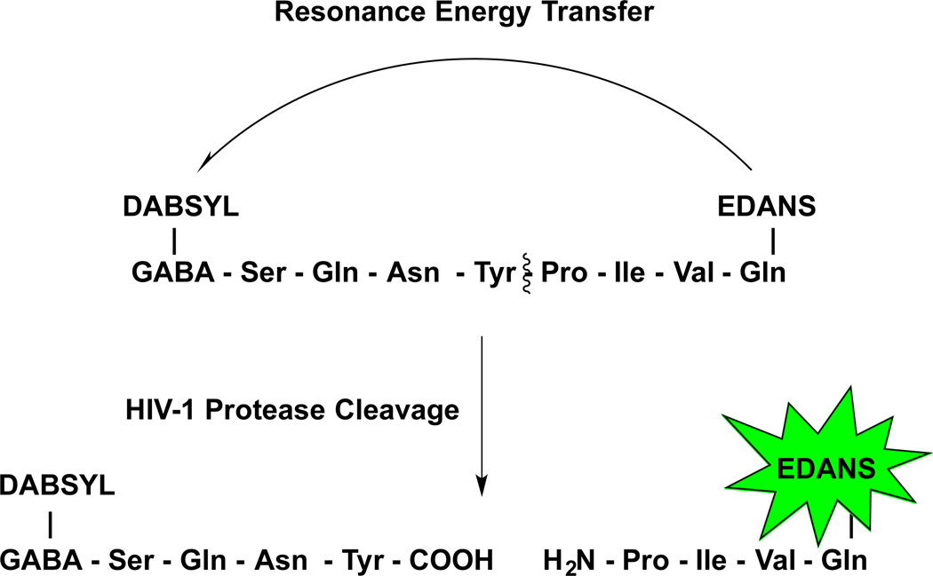 Scheme 4