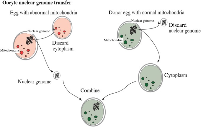 Figure 1