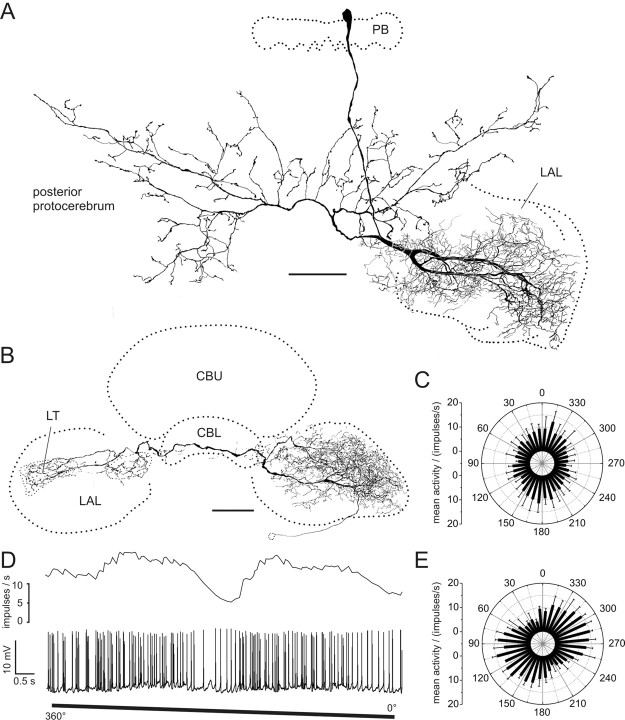 Figure 9.