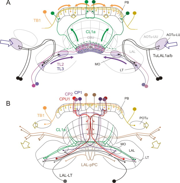 Figure 10.