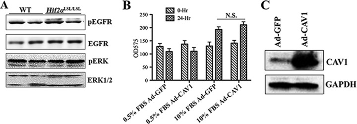 FIG 5