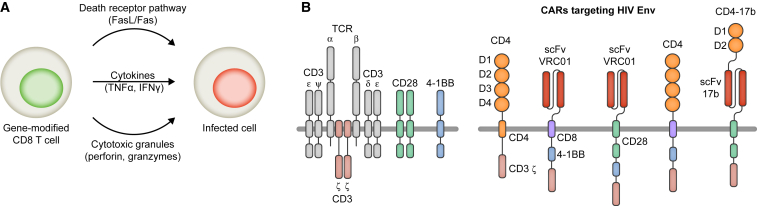 Figure 3