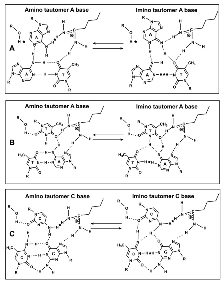 Figure 11