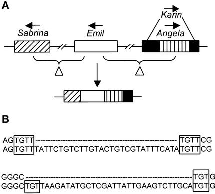 Figure 5.