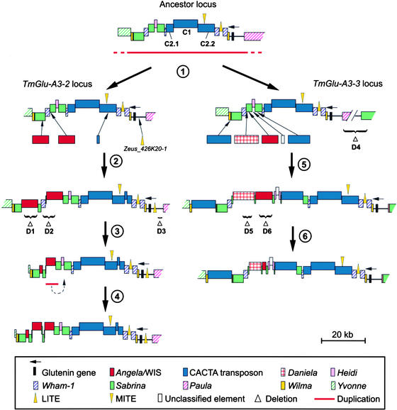 Figure 4.