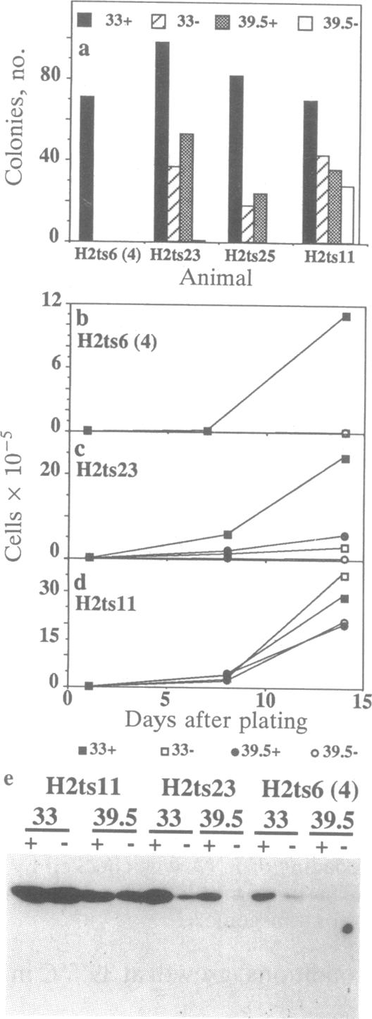 graphic file with name pnas01062-0041-a.jpg