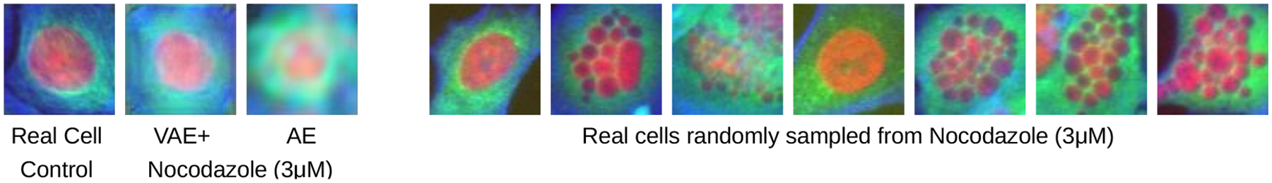 Figure 4: