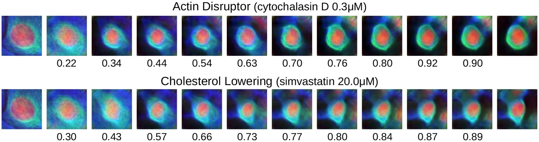 Figure 3: