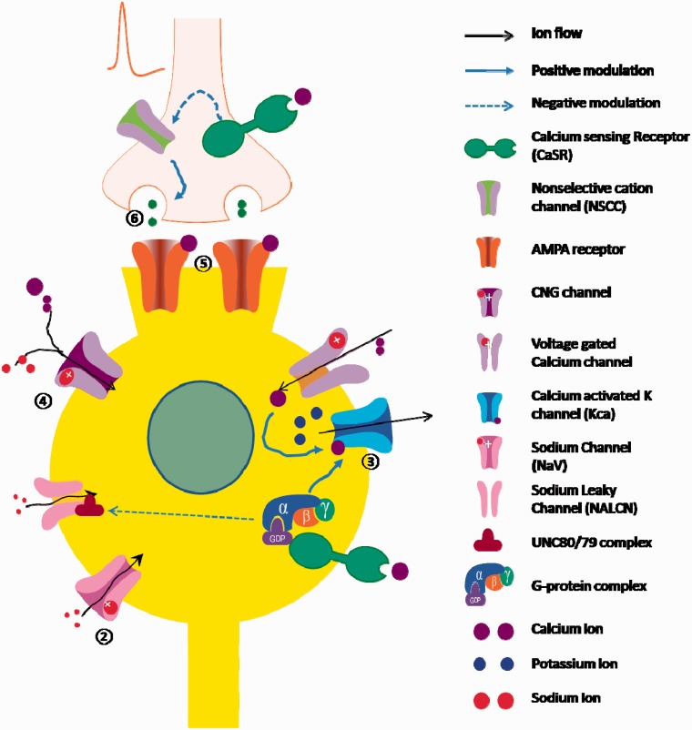 Figure 2.