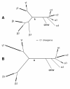 FIG. 1.