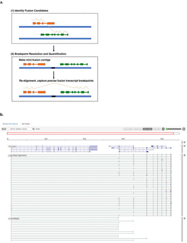 Figure 1: