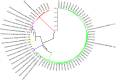 Fig. 3