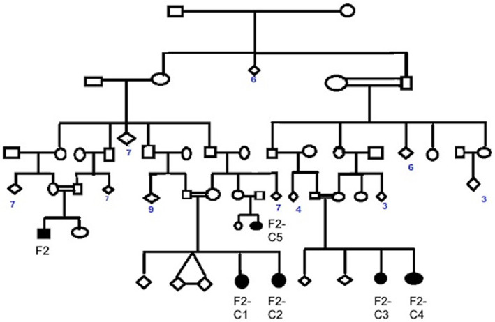 FIG. 1