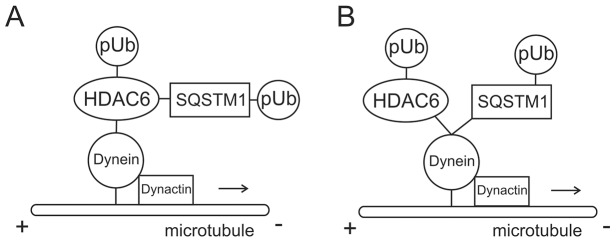 Fig. 8.