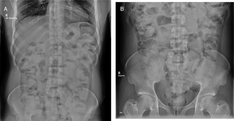 Fig. 5