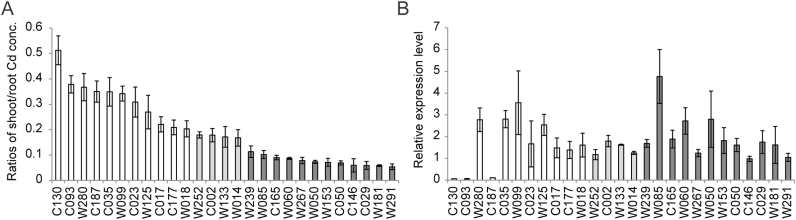 Fig. 8.