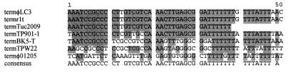 FIG. 6