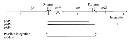 FIG. 1