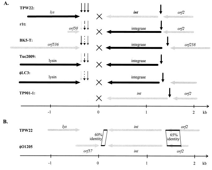 FIG. 5