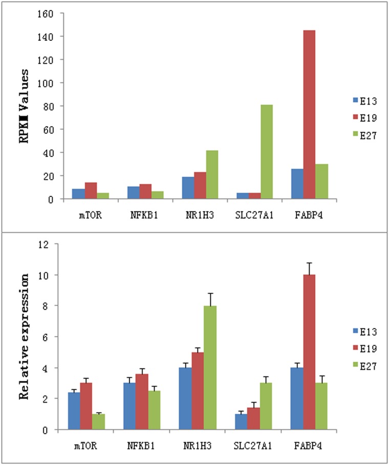 Fig 11