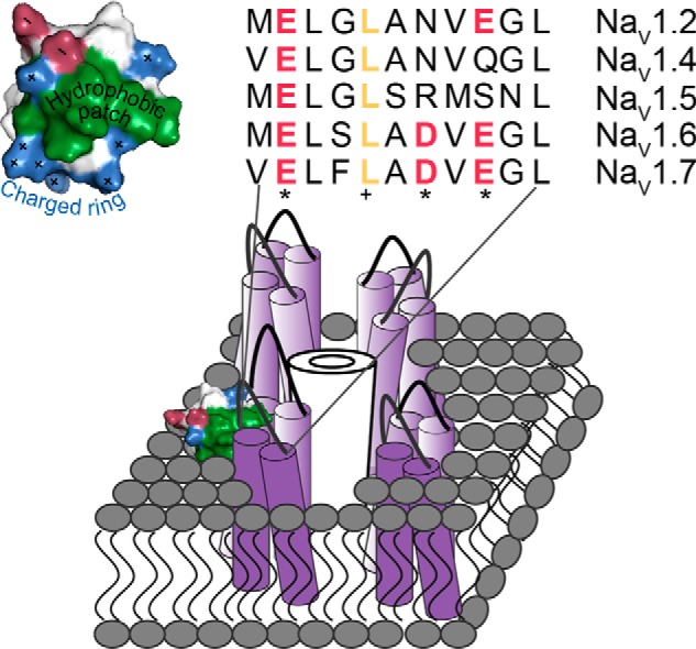 Figure 10.