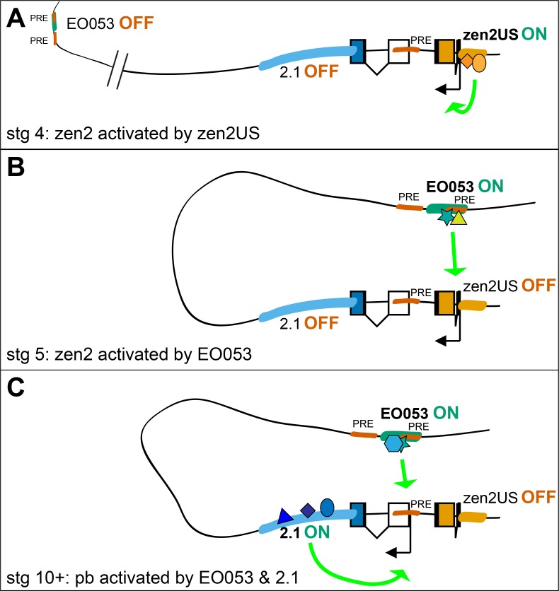 Figure 7.